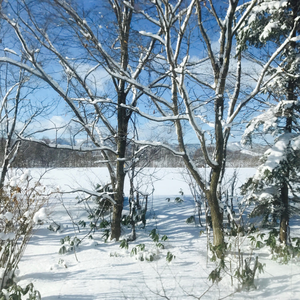 雪化粧の高原