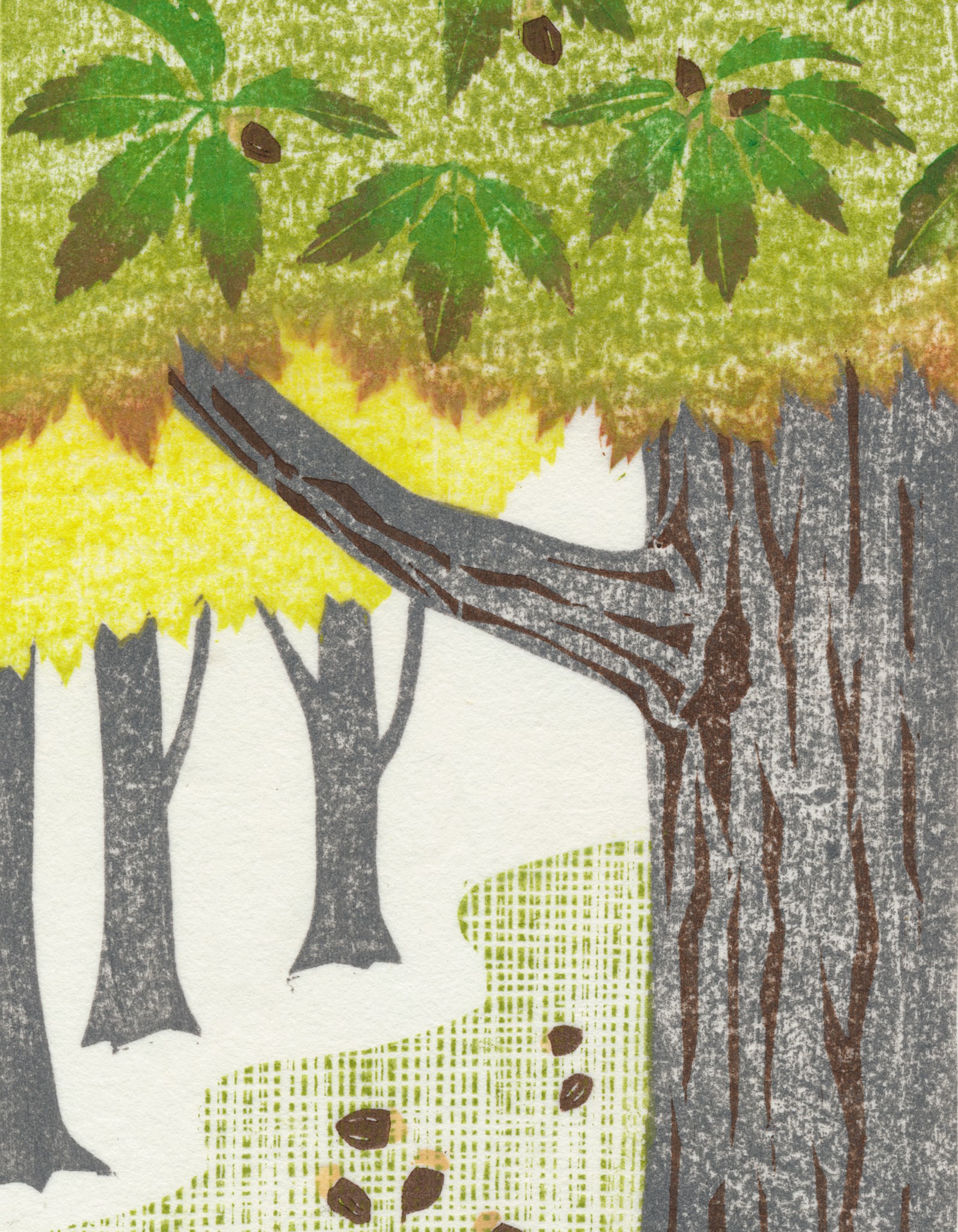 木版画　TOYOSHIMA　かたつむり 木版画 TOYOSHIMA かたつむり かたつむりの成長記録 | にじいろ