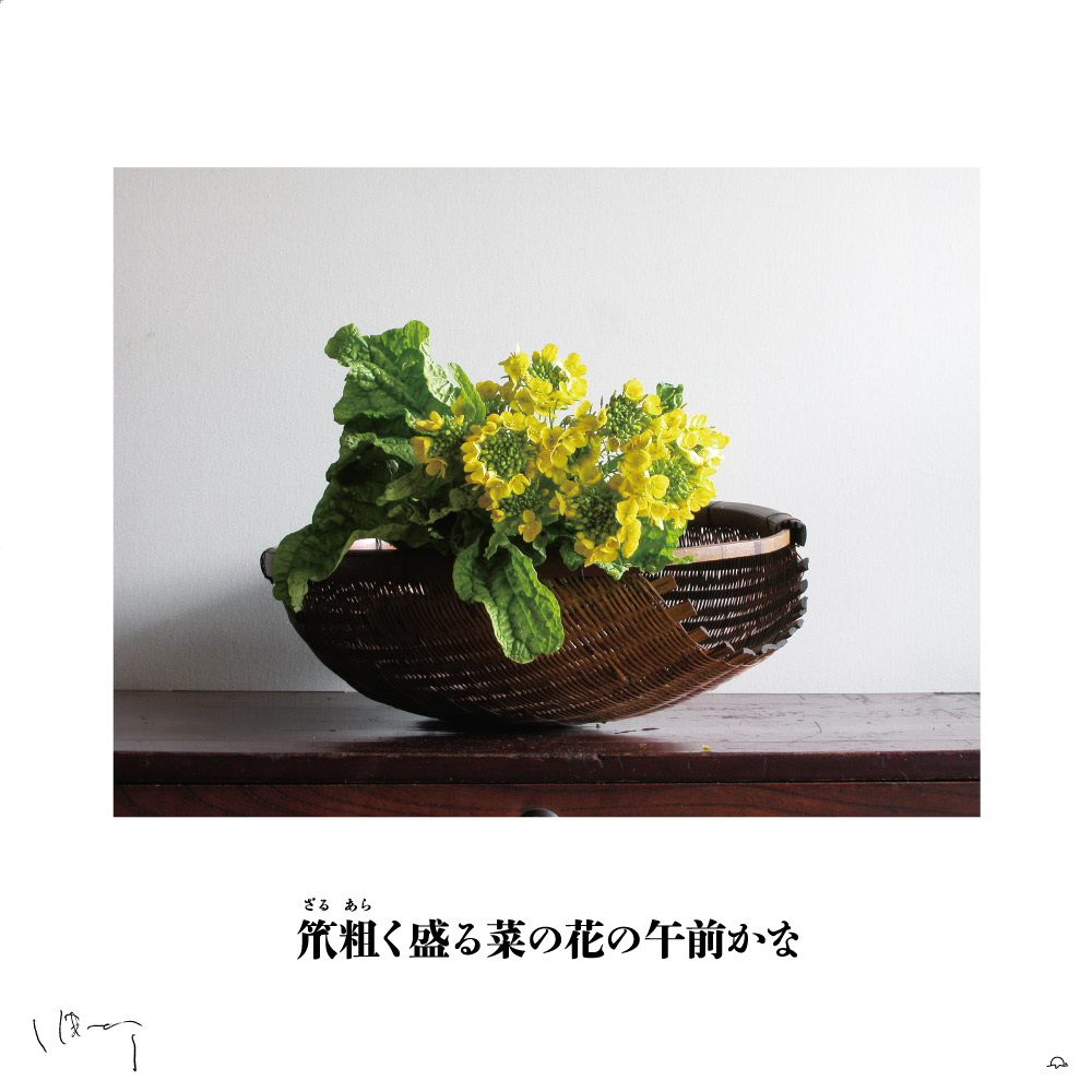 味岡伸太郎花頌抄２　３月（菜の花）