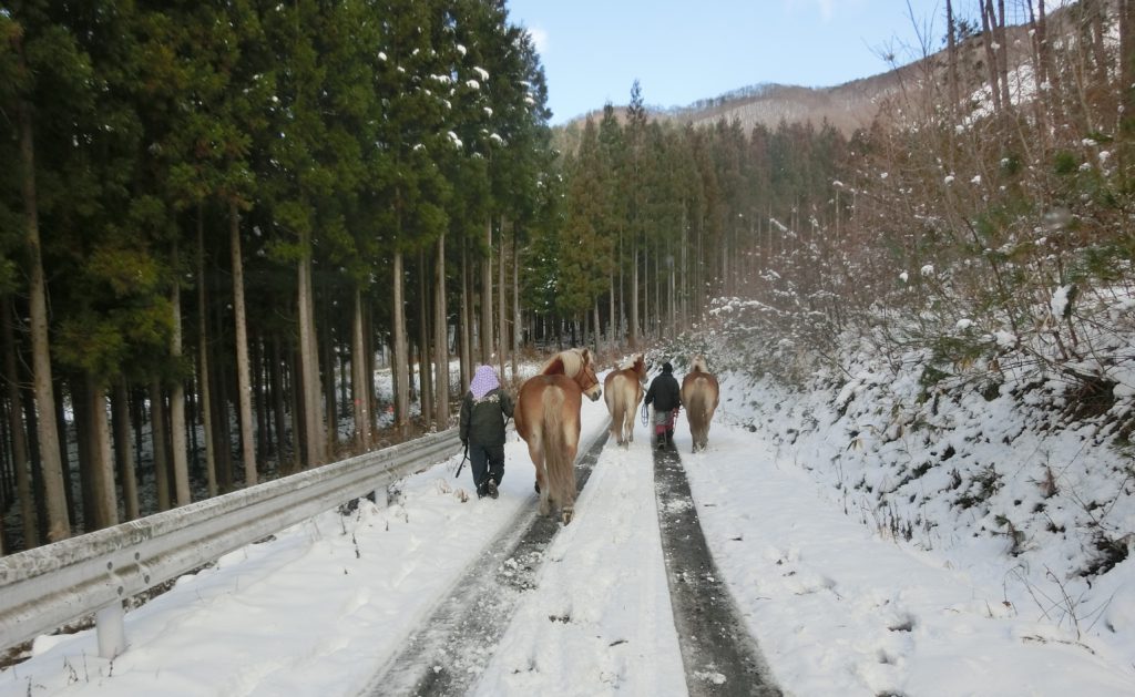 雪のなか馬の移動