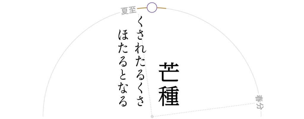 芒種-腐草為蛍
