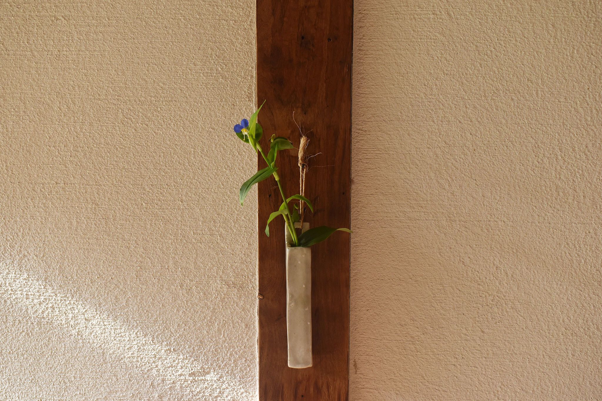 菊花石　赤花　小花　根尾 小林宗閑箱書き　鑑賞石 水石 　木製台座　文化財級 菊花石 赤花 小花 根尾 小林宗閑箱書き 鑑賞石 水石 木製台座 文化財