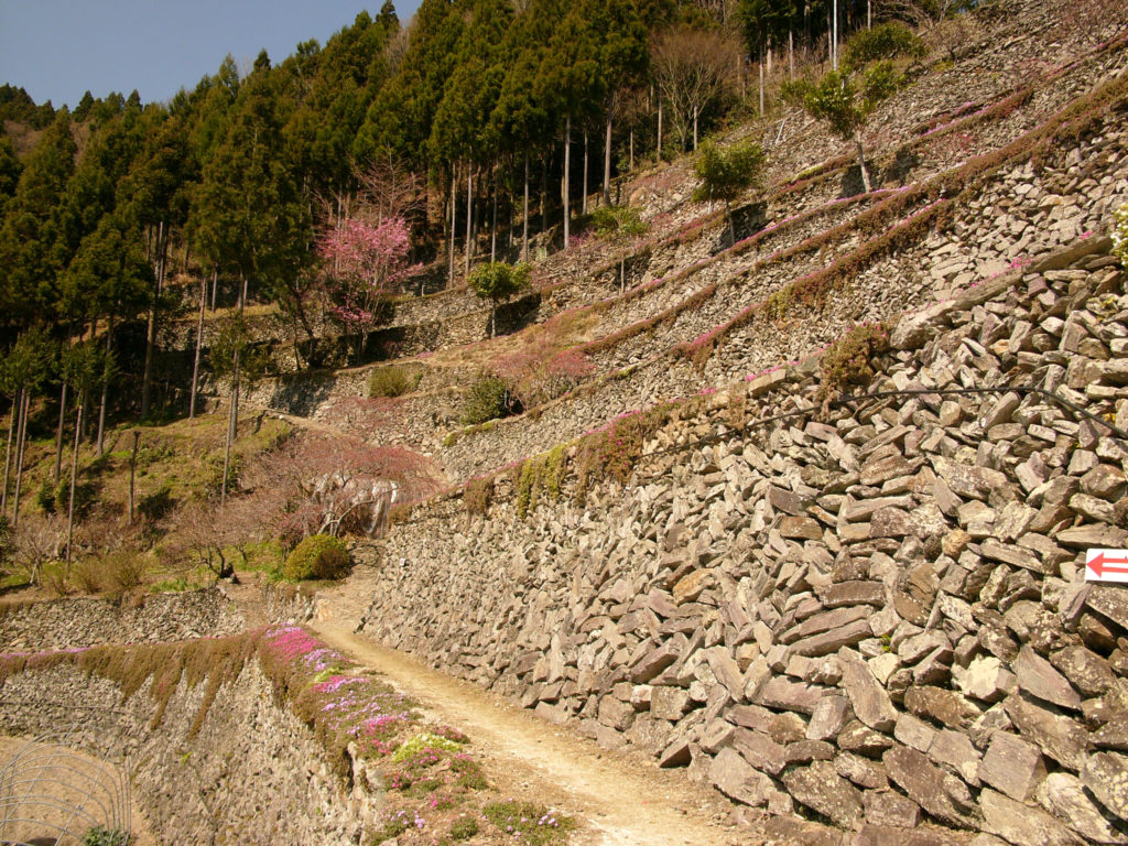 山の斜面に石が積みあがっている高開の石積み