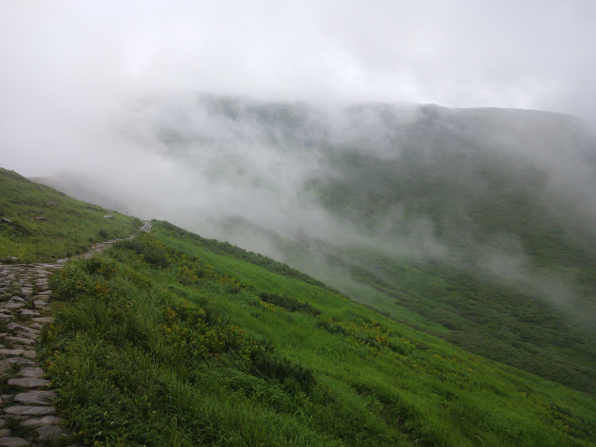 高原の霧