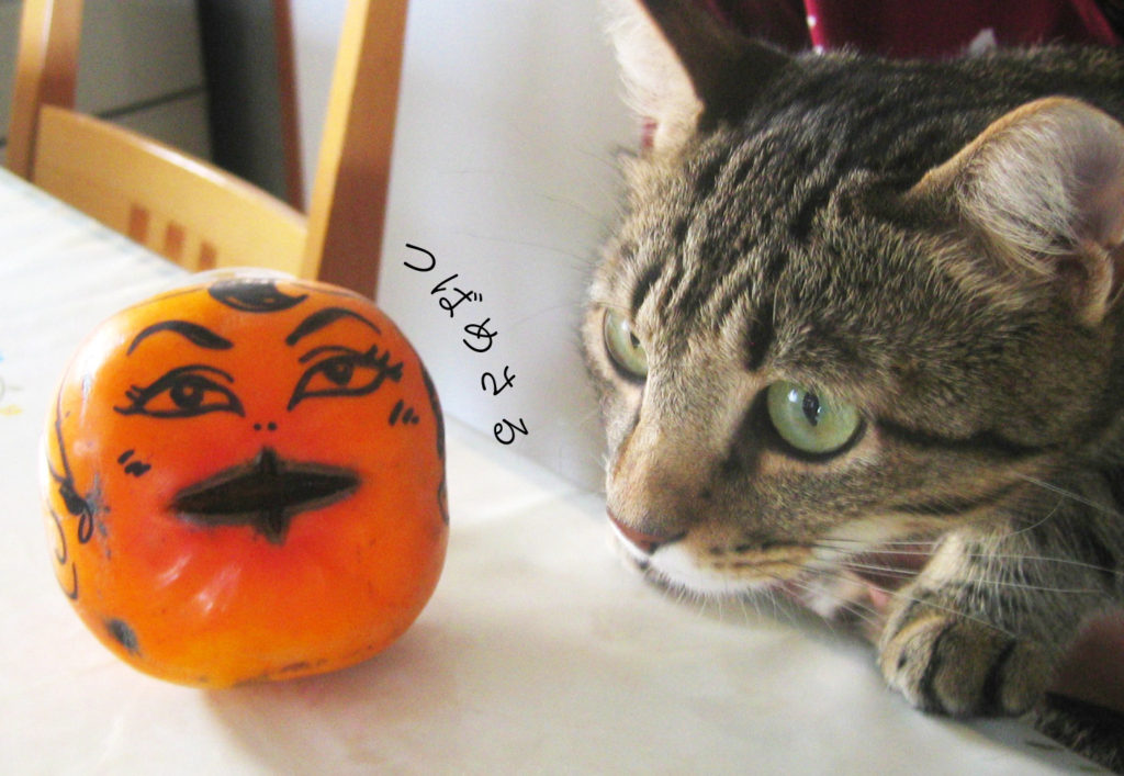 猫と柿