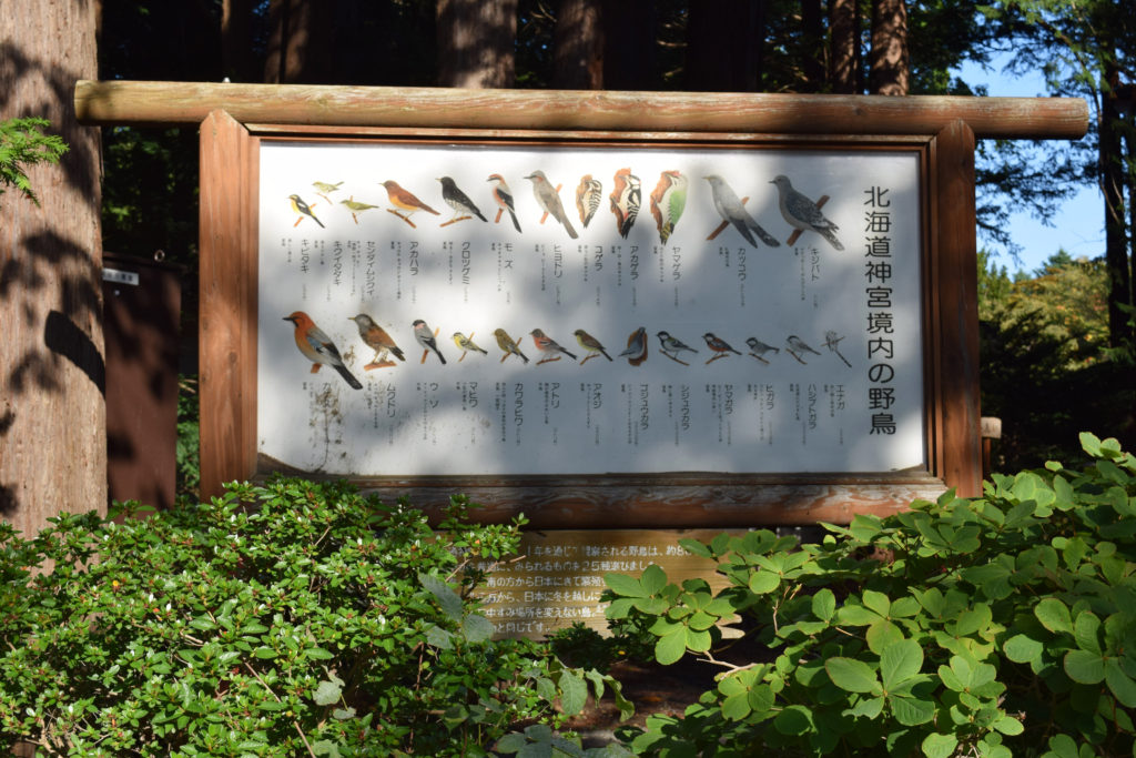 北海道神宮境内の野鳥一覧