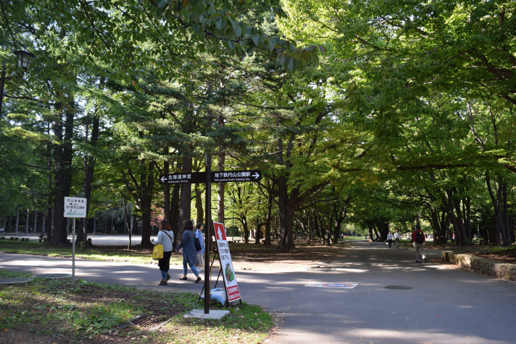 円山公園内の北海道神宮への案内看板