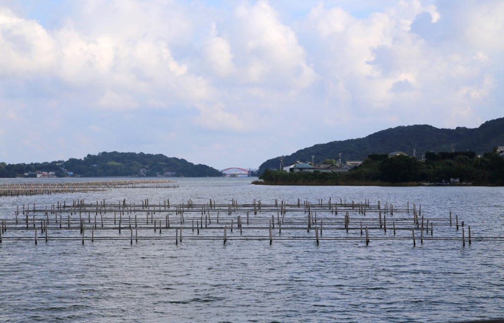 浜名湖の海苔養殖場