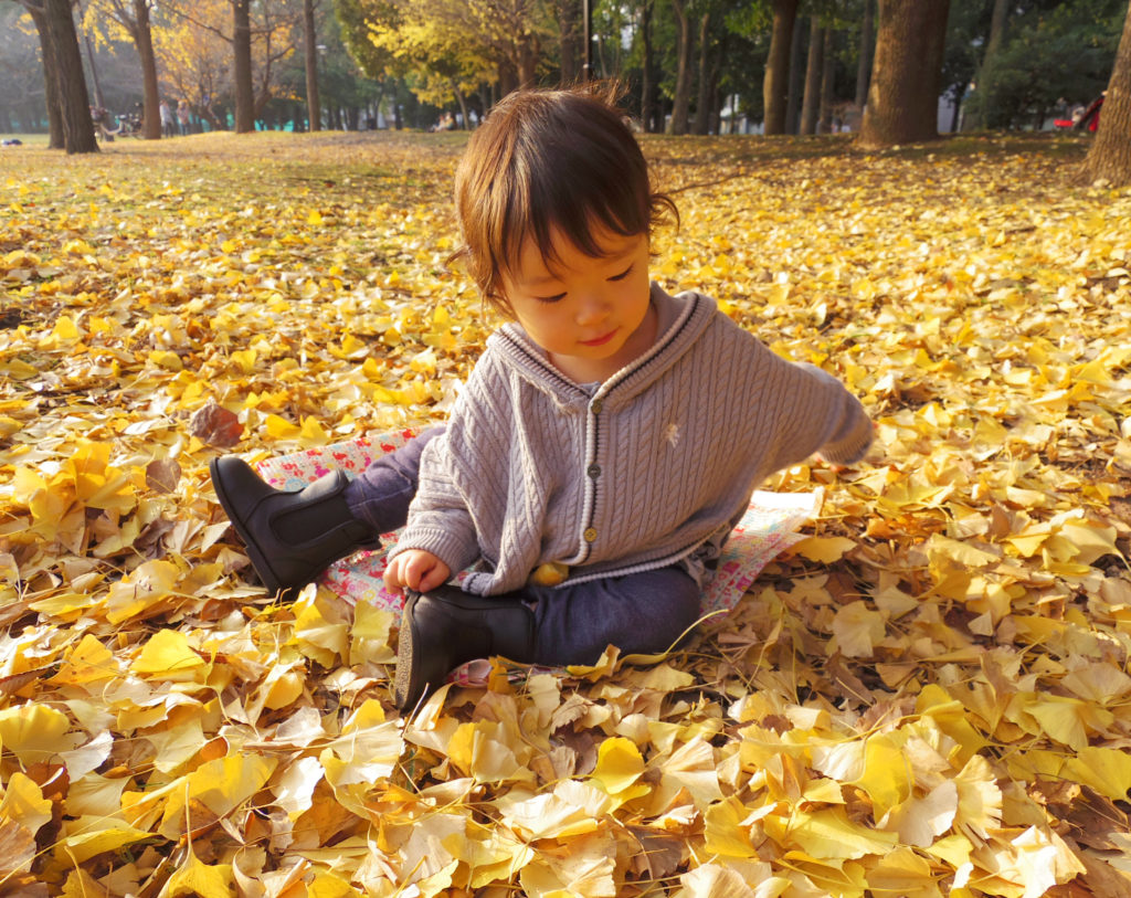 落ち葉で遊ぶ子供