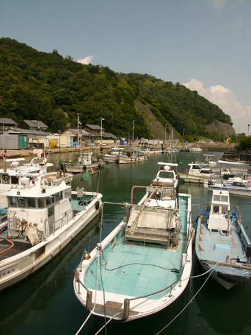 小坂漁港（本島）