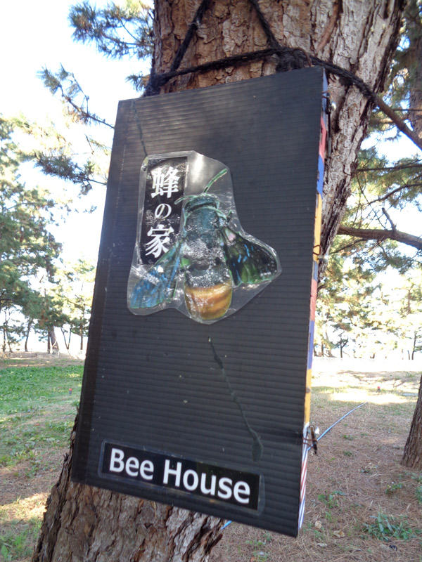 公園の木に蜂の家(bee house)