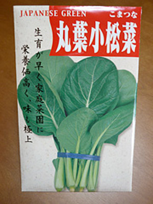 丸葉小松菜