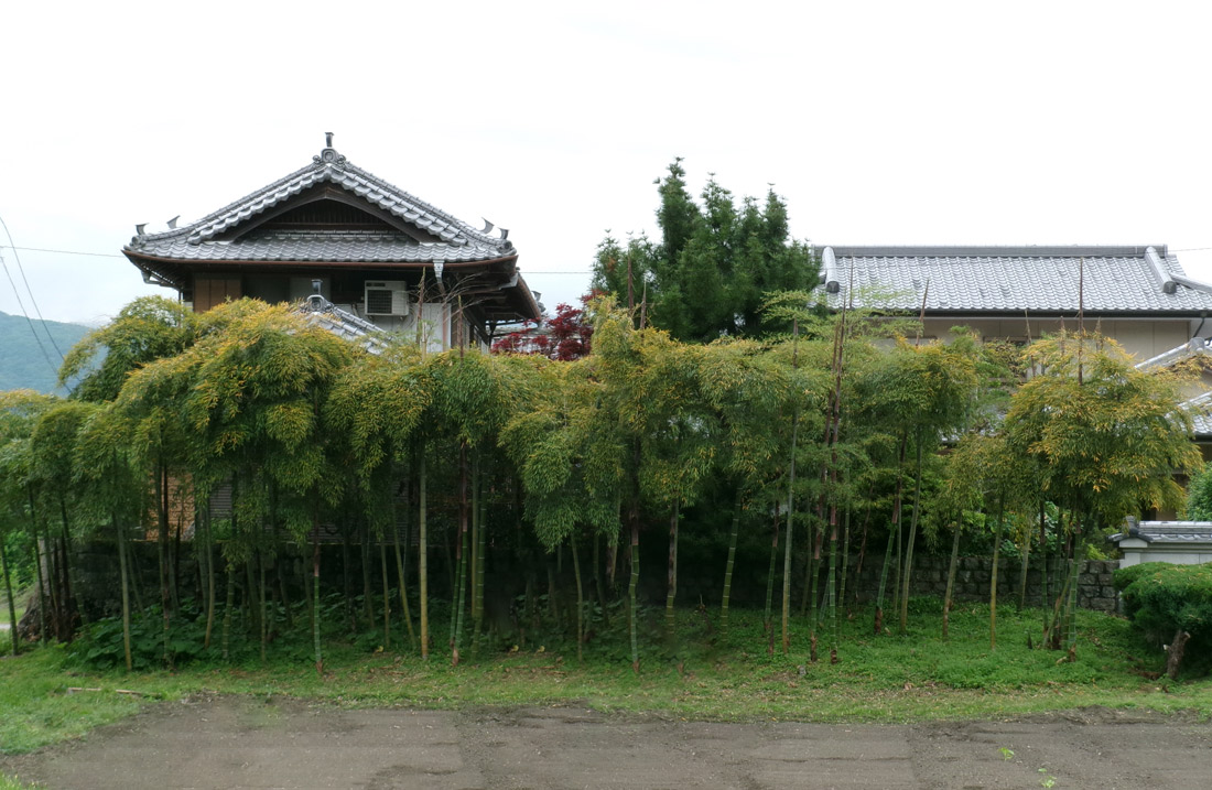 竹林と藍屋敷