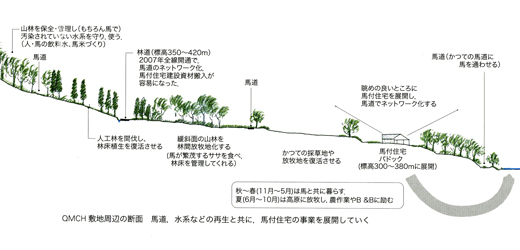 QMCH敷地周辺の断面（左）