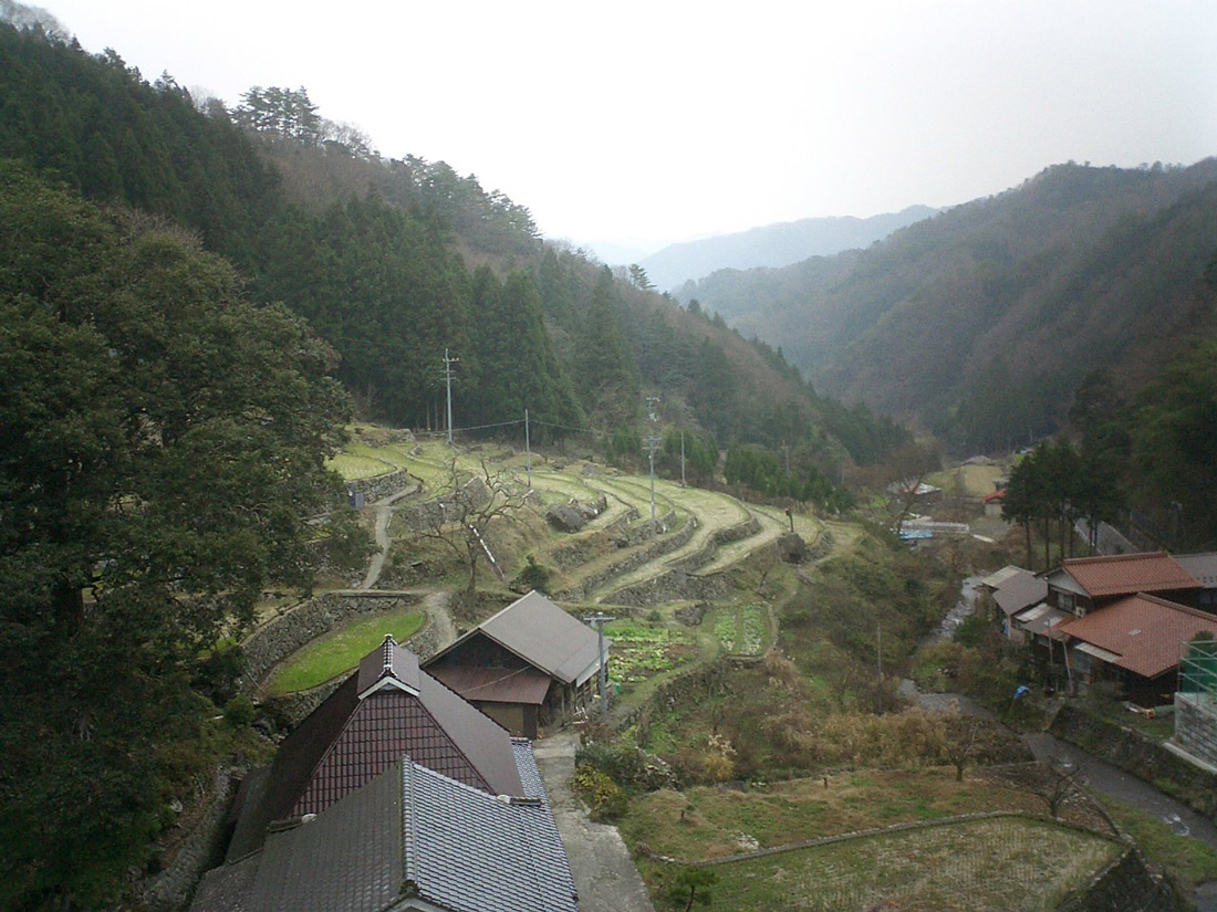 柿木村の段々畑の風景