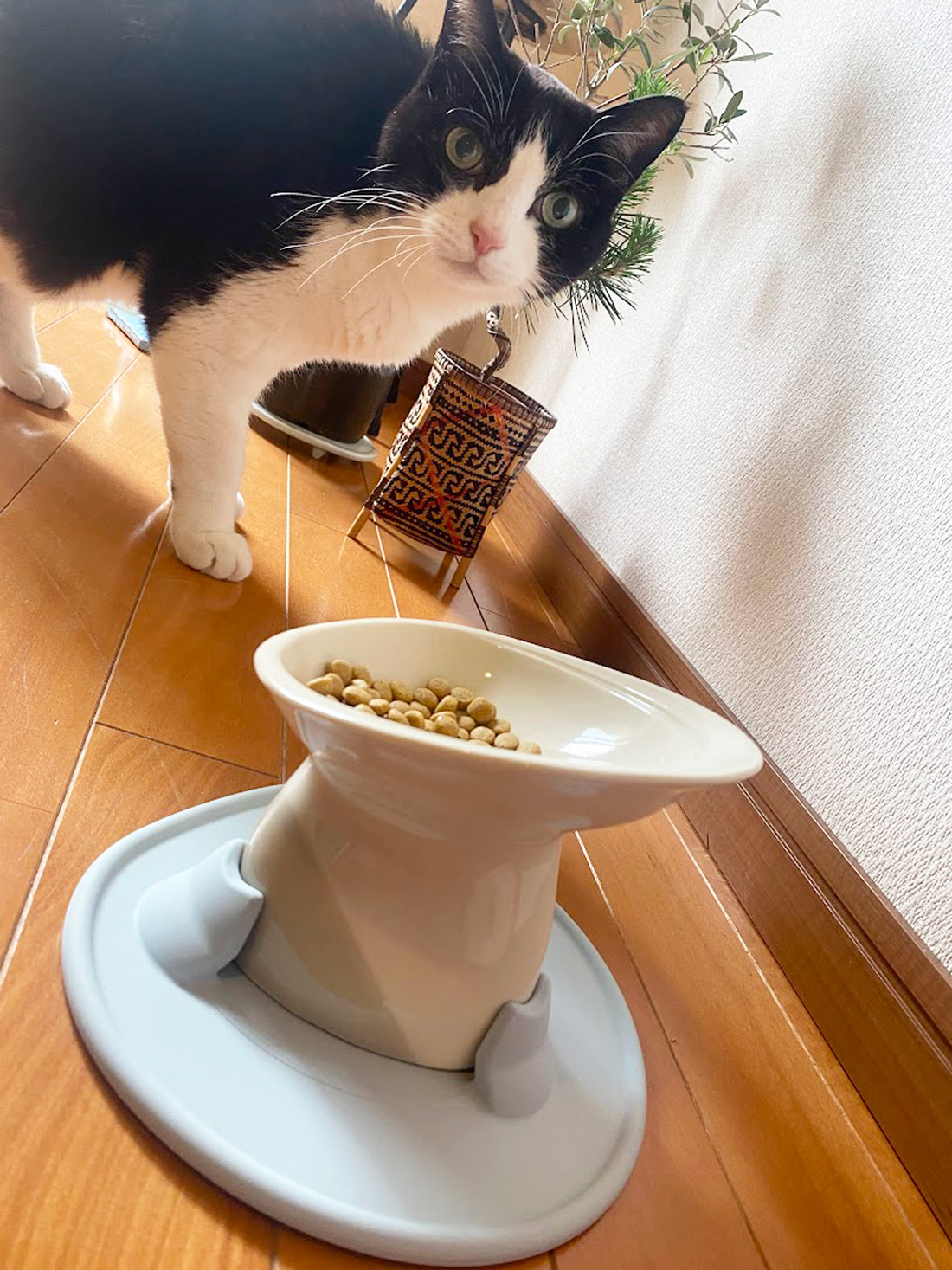 猫皿用のストッパーマット