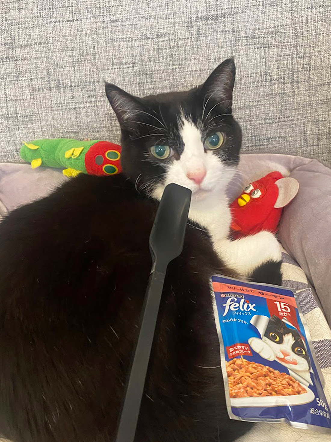 猫パウチに便利なスプーン