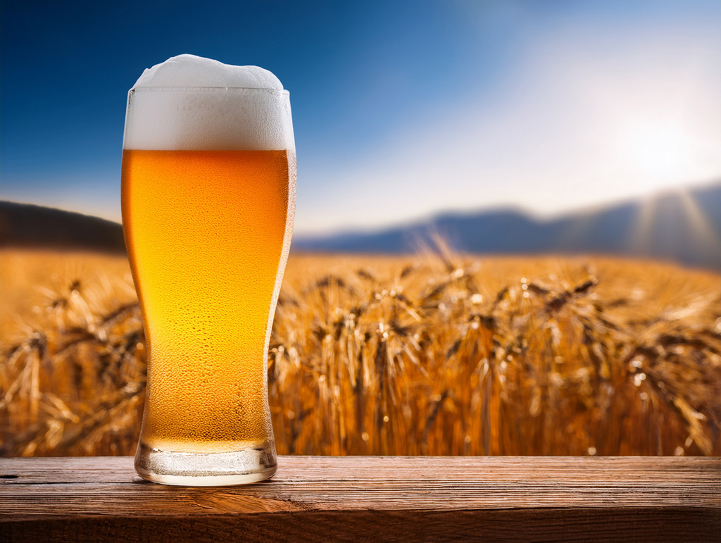 ビールと麦畑