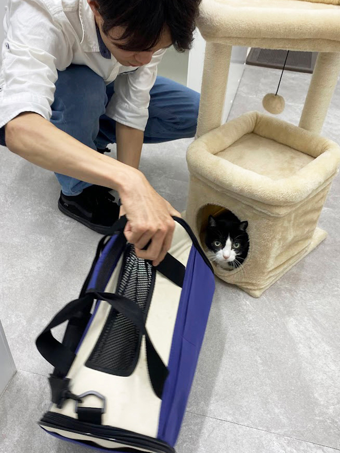 キャリーバッグに入らない