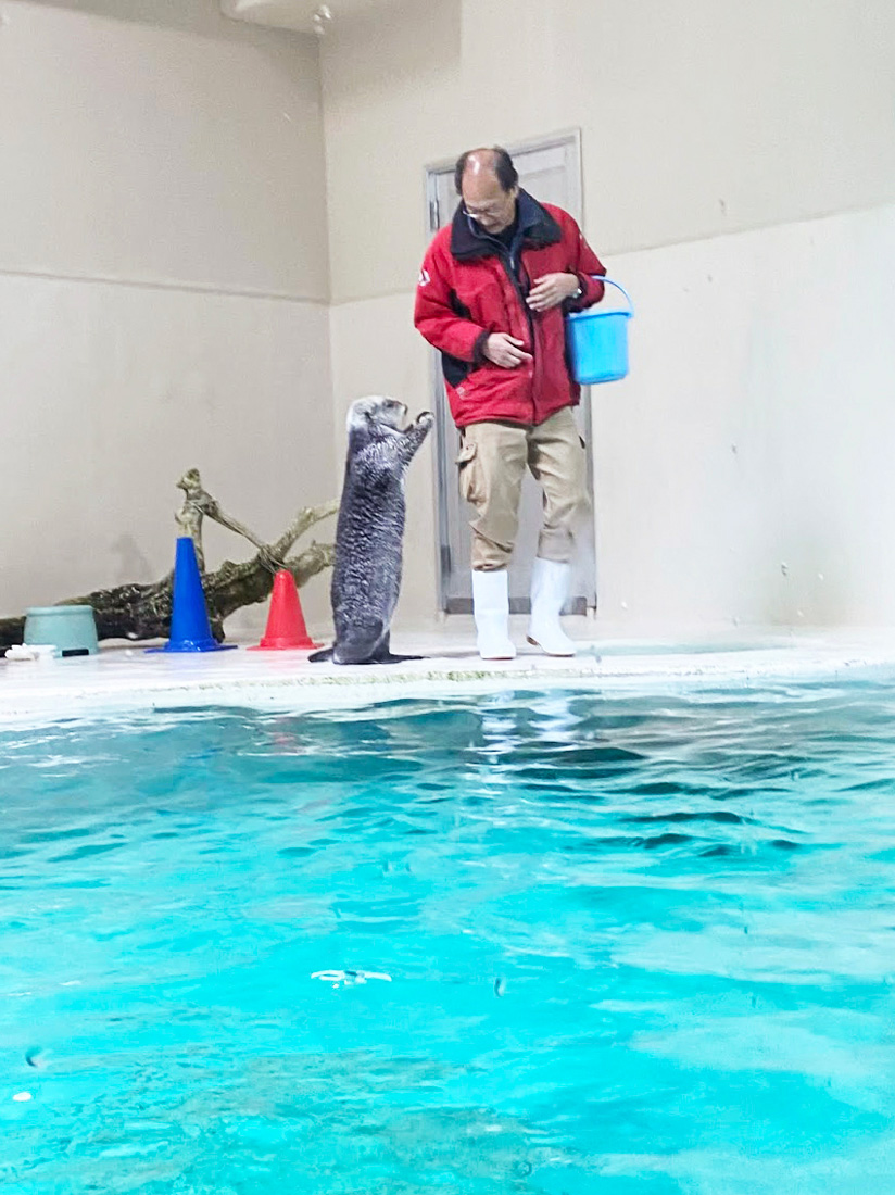 ラッコのメイちゃんと石原さん
