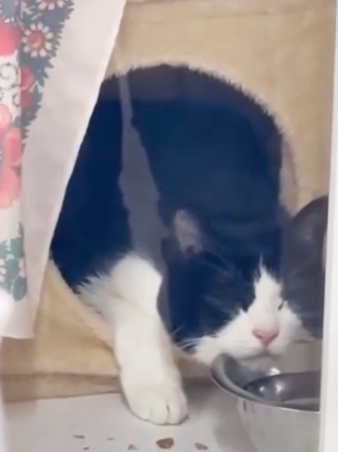 お水入れを枕に寝てる歌丸